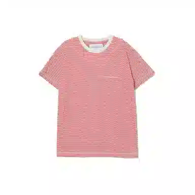 THE MUSEUM VISITOR T