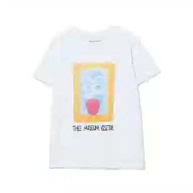 THE MUSEUM VISITOR T