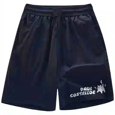 PAUL COSTELLOE logo