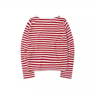 THE MUSEUM VISITOR T