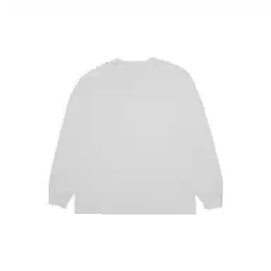 THE MUSEUM VISITOR T