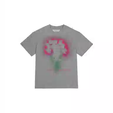 THE MUSEUM VISITOR T