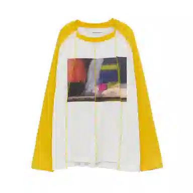 THE MUSEUM VISITOR T