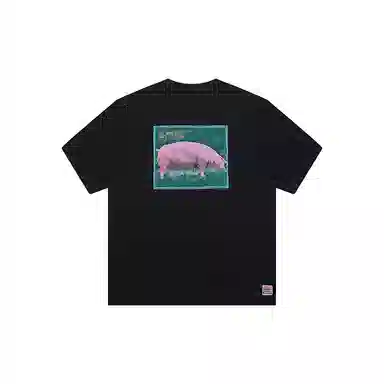 Vision Street Wear pink pigT