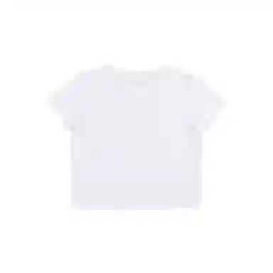 THE MUSEUM VISITOR T