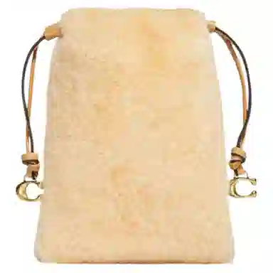 COACH Pouch 17