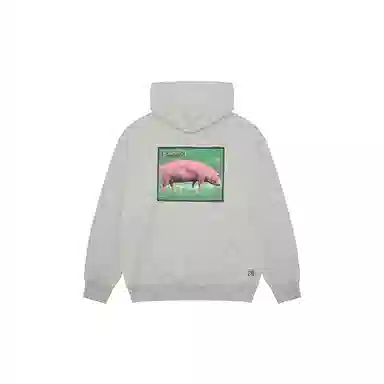 Vision Street Wear pink pig
