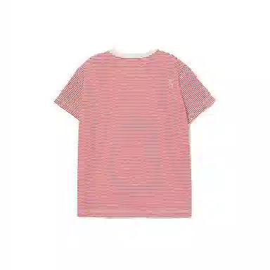 THE MUSEUM VISITOR T