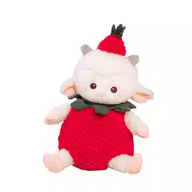 FKOFR 16cm20cm23cm30cm