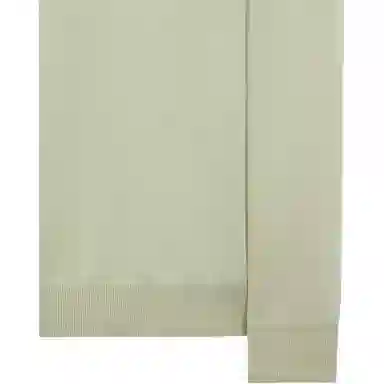 Stone Island SS22 Light Green Sweatshirt