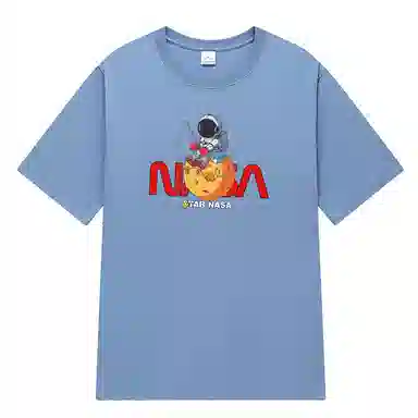 LSVE NASA2025 T