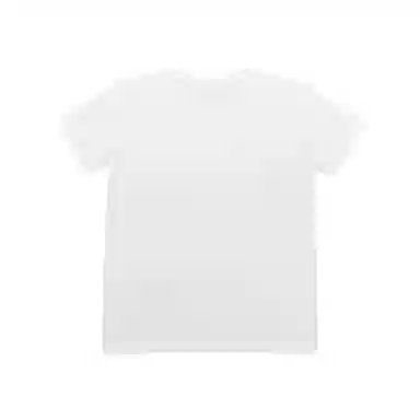 THE MUSEUM VISITOR T