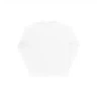 THE MUSEUM VISITOR T