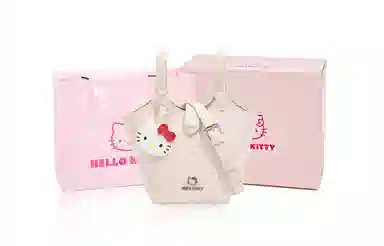 Sanrio Hello Kitty