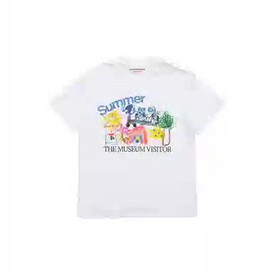 THE MUSEUM VISITOR T