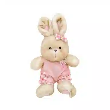 PUDOWRABBIT 35cm50cm