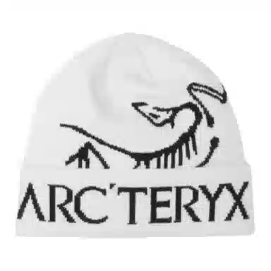 Arcteryx Beanie