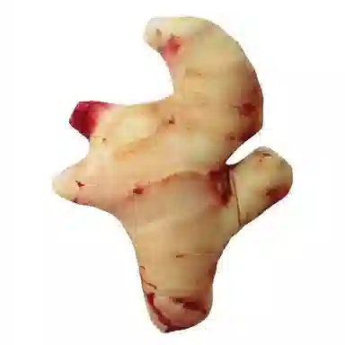 FKOFR 13cm14cm16cm20cm23cm