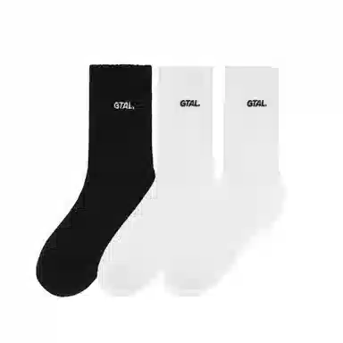 GTAL 3