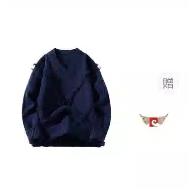 PIERRE CARDIN V
