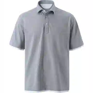 SEE ALSO Polo