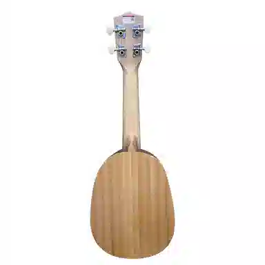 MODEST DREAM S1 21DIY