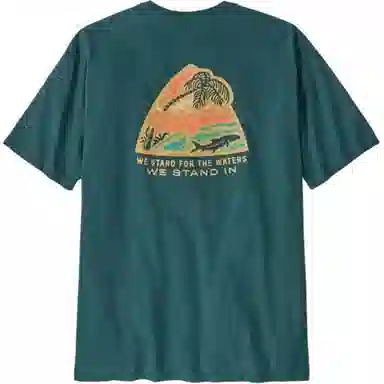 patagonia T
