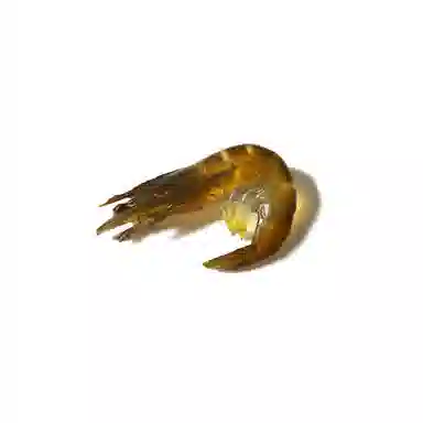 ins