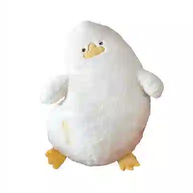 50cm