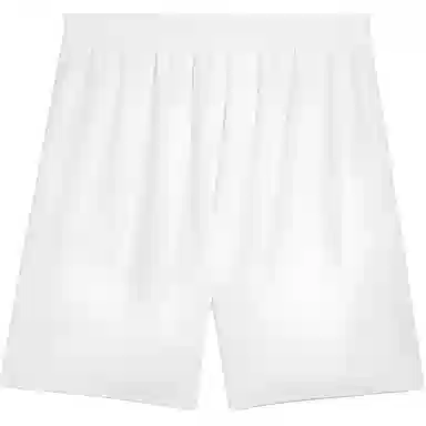 PUMA AC Milan Shorts