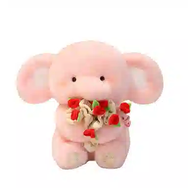 30cm