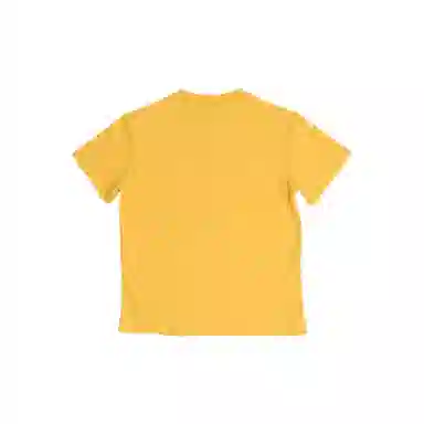 THE MUSEUM VISITOR T