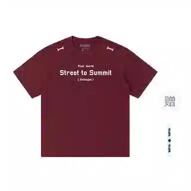 pallsupol T