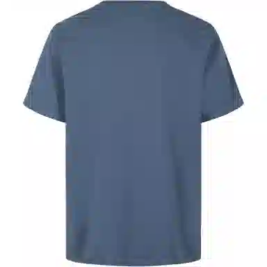 levis T