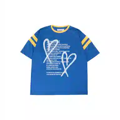 THE MUSEUM VISITOR T