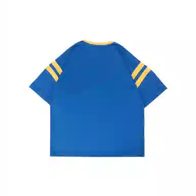 THE MUSEUM VISITOR T