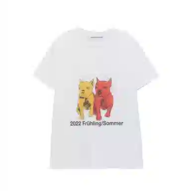 THE MUSEUM VISITOR T