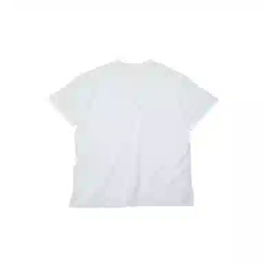 THE MUSEUM VISITOR T