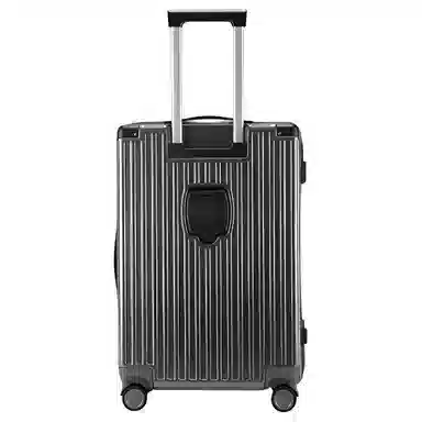 SEA LION PC 2024262228