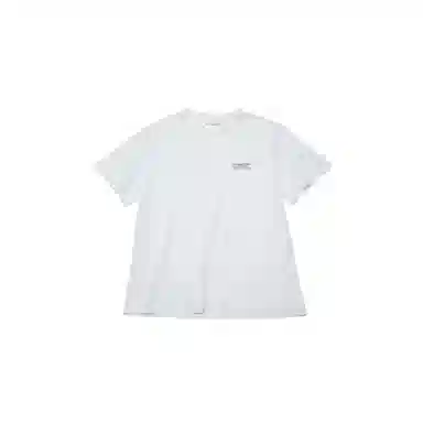 THE MUSEUM VISITOR T