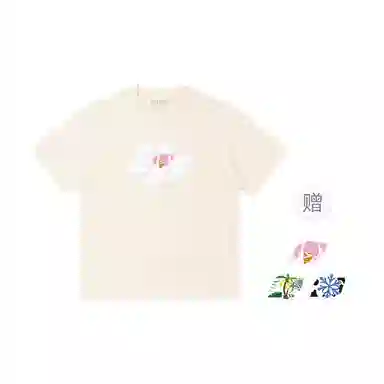 pallsupol T