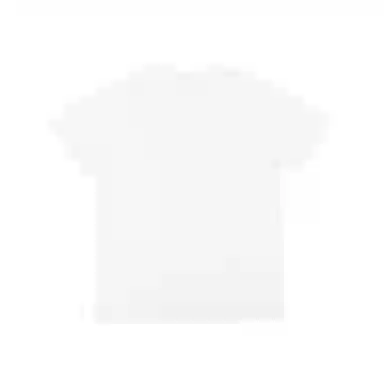 THE MUSEUM VISITOR T