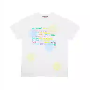 THE MUSEUM VISITOR T