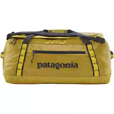 patagonia 55L Logo