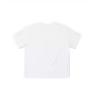 THE MUSEUM VISITOR T