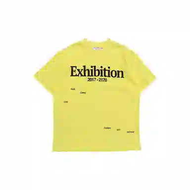 THE MUSEUM VISITOR T