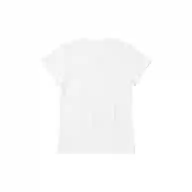 THE MUSEUM VISITOR T