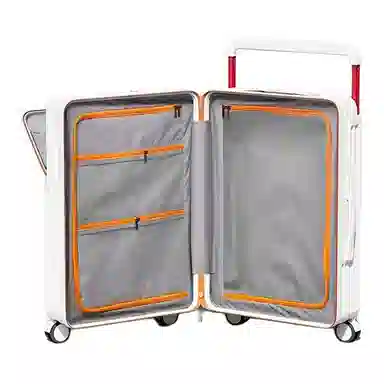 SEA LION PC 20242622