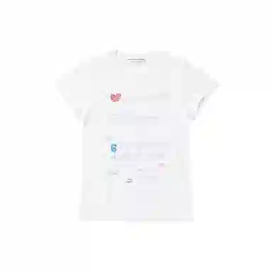 THE MUSEUM VISITOR T