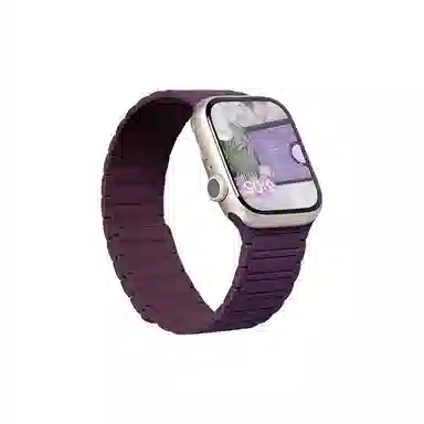 HASEE 222mm Apple Watch S11S10987